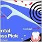 cara menggunakan dental floss pick