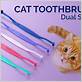 cat toothbrush and toothpaste amazon