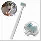 cat toothbrush treats