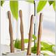 ceramic toothbrush holder set