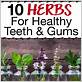 chinese herbs for gum disease