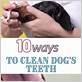 clean dog's teeth without toothbrush