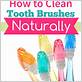 cleaning toothbrush with bleach