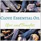 clove essential oil gum disease