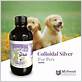 colloidal silver for dogs gum disease