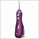cordless water flosser orchid