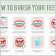 correct way to brush teeth with electric toothbrush
