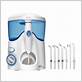 cvs waterpik wp100