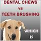dental chews vs brushing