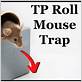 dental floss on mouse trap