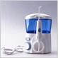 dental flosser irrigation