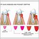 dental gum measurements