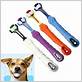 dental toothbrush for dogs