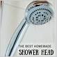 diy shower head cleaner