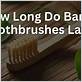 do bamboo toothbrushes last longer