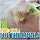 do cats like being brushed with a toothbrush