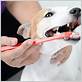 do dental chews actually help keep a dogs teeth white