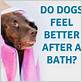 do dogs feel better after a bath