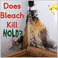 does bleach kill strep on toothbrush