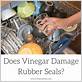 does vinegar damage rubber