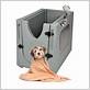 dog bath accessories