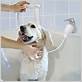 dog bath shower head
