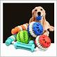 dog chew toy dental health
