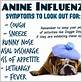 dog flu signs and symptoms