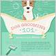 dog grooming instructions