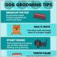 dog grooming tip