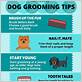 dog grooming tips