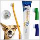 doggy toothbrush and toothpaste