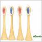 eco friendly electric toothbrush brush head