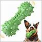 edible toothbrush for dogs