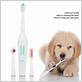 electric toothbrush not tested on animals