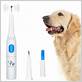 electric toothbrush on my dog