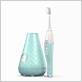 electric toothbrush with cleaning station