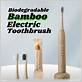 electric toothbrush zero waste