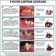 fellne gum diseases