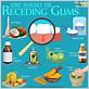 foods that help with gum disease