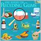 foods that treat gum disease
