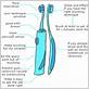 function of toothbrush