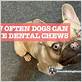 giving your puppy dental chews