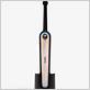 goby moonstone toothbrush