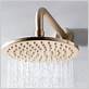 gold coloured shower head