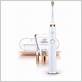 gold electric toothbrush