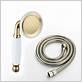 gold shower head and hose