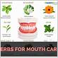 goldenseal for gum disease