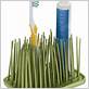grass toothbrush holder