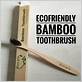 grin bamboo toothbrush